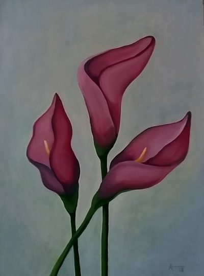 Mexican lilies 2
